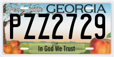 GA license plate PZZ2729