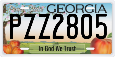 GA license plate PZZ2805