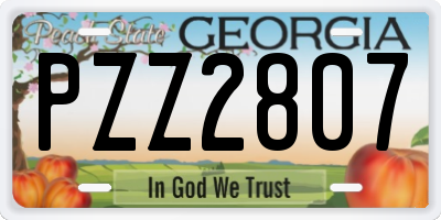 GA license plate PZZ2807