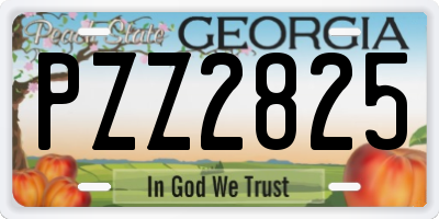 GA license plate PZZ2825