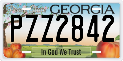 GA license plate PZZ2842