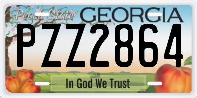 GA license plate PZZ2864