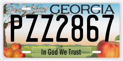 GA license plate PZZ2867