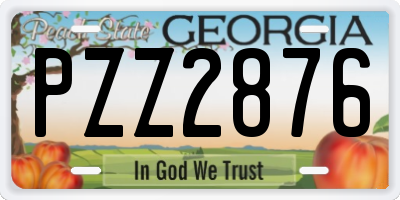 GA license plate PZZ2876
