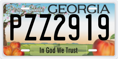 GA license plate PZZ2919