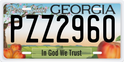 GA license plate PZZ2960