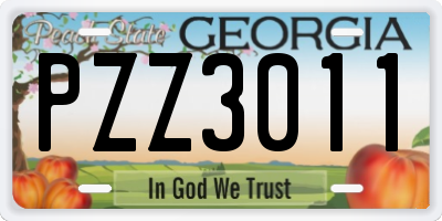 GA license plate PZZ3011