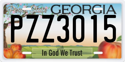 GA license plate PZZ3015
