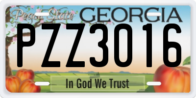 GA license plate PZZ3016