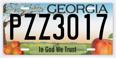 GA license plate PZZ3017