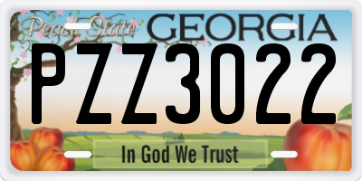 GA license plate PZZ3022