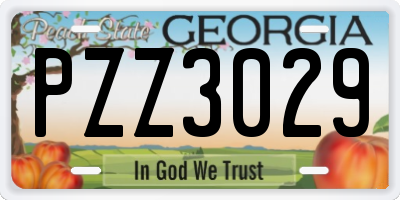 GA license plate PZZ3029
