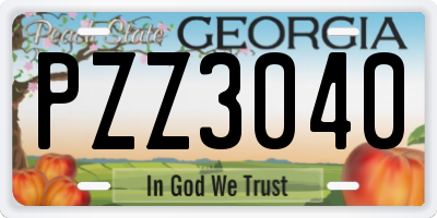 GA license plate PZZ3040