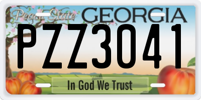GA license plate PZZ3041