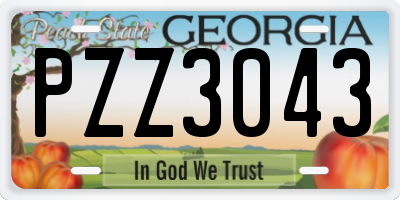 GA license plate PZZ3043