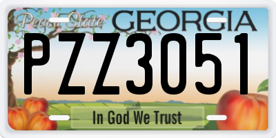 GA license plate PZZ3051