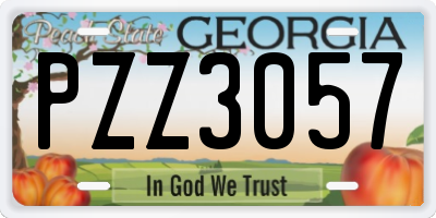 GA license plate PZZ3057