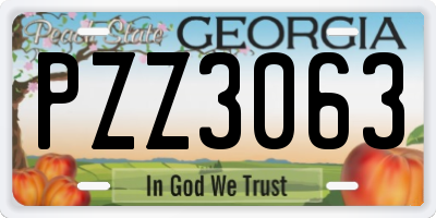 GA license plate PZZ3063