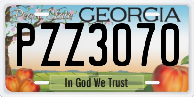 GA license plate PZZ3070
