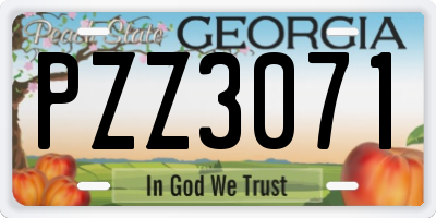 GA license plate PZZ3071