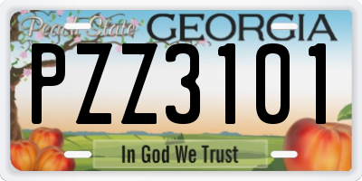 GA license plate PZZ3101