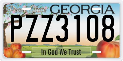 GA license plate PZZ3108