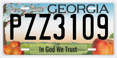 GA license plate PZZ3109