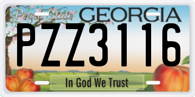 GA license plate PZZ3116