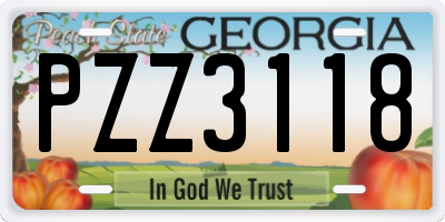 GA license plate PZZ3118