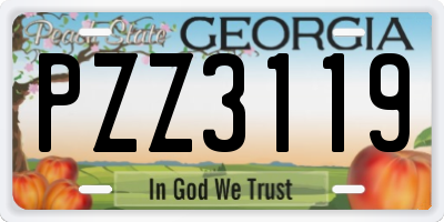 GA license plate PZZ3119