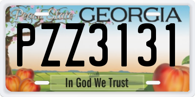 GA license plate PZZ3131