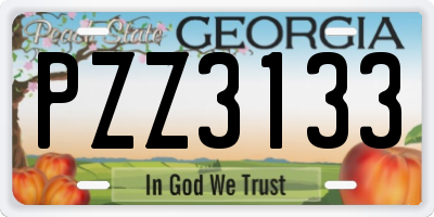 GA license plate PZZ3133
