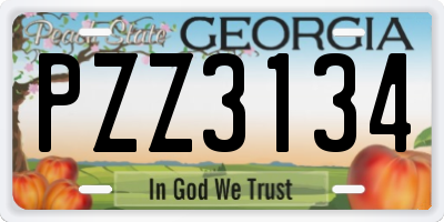 GA license plate PZZ3134