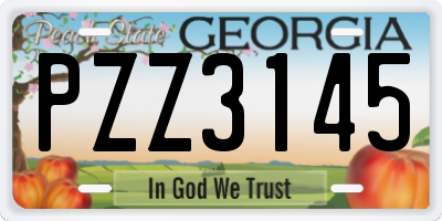 GA license plate PZZ3145