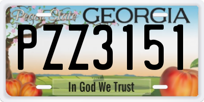 GA license plate PZZ3151
