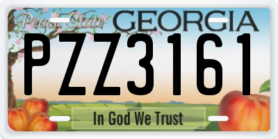 GA license plate PZZ3161