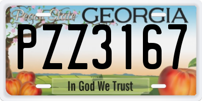 GA license plate PZZ3167