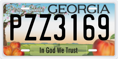 GA license plate PZZ3169