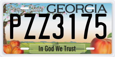 GA license plate PZZ3175