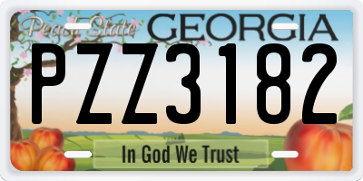 GA license plate PZZ3182