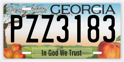 GA license plate PZZ3183