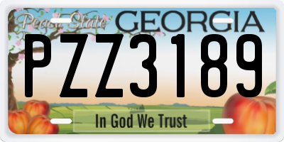 GA license plate PZZ3189