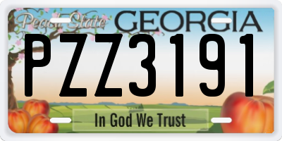 GA license plate PZZ3191
