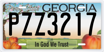 GA license plate PZZ3217