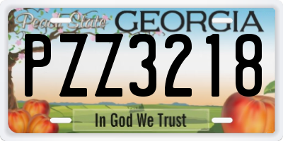 GA license plate PZZ3218