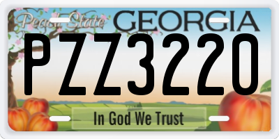 GA license plate PZZ3220