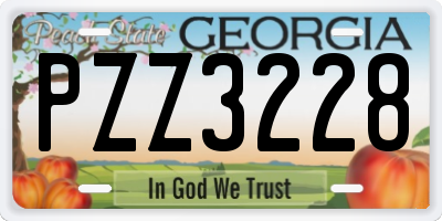 GA license plate PZZ3228