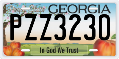 GA license plate PZZ3230