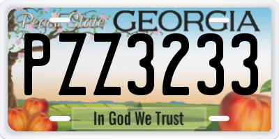 GA license plate PZZ3233