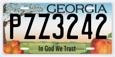 GA license plate PZZ3242